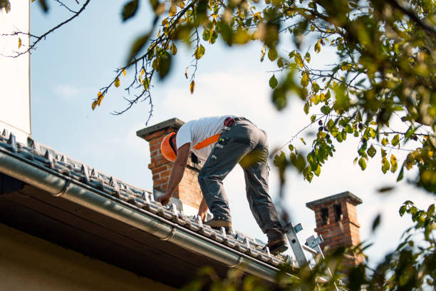 Professional Roofing Contractor in Clinton, KY