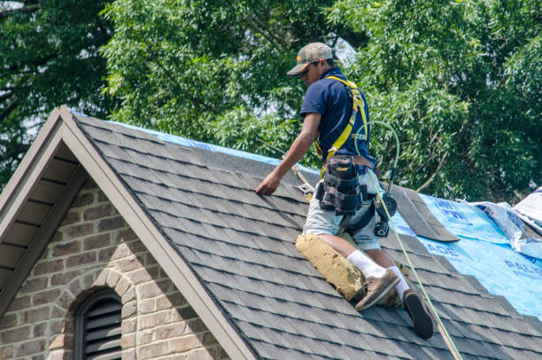 Best Storm Damage Roof Repair  in Clinton, KY
